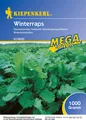 Produktbild: Kiepenkerl Gründüngung Winterraps Brassica napus 1 kg