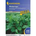 Produktbild: Winterraps - 1 kg Gründünger Mega-Pack