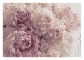 Produktbild: WallArena - Vlies Fototapete Blumen Pfingstrose Romantisch Rosa Rosen 312x219 cm - Fototapeten - Tapeten - für Wohnzimmer Schlafzimmer - Vliestapete Wandtapete Tapete 3D Effekt- inkl. Kleister