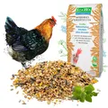 Produktbild: StaWa Hühnerfutter Vitalmix ohne Kräuter, das beste Geflü... 25 kg (1,08 € / kg)