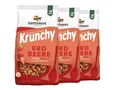 Produktbild: Barnhouse Krunchy Erdbeer, 3er Pack (3 x 700 g Karton) - Bio
