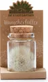 Produktbild: Die Stadtgärtner – Wunscherfüller I Echte Pusteblume im Glas I Ewig haltbar I Perfekte Geschenkidee für jeden Anlass I Geschenk zu Geburtstag, Weihnachte, Muttertag, Ostern etc.