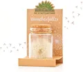 Produktbild: Trockenblume Wunscherfüller, Perfekte Geschenkidee für jeden Anlass Pusteblume, Die Stadtgärtner, Echte Pusteblume