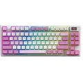 Produktbild: MSI FORGE GK600 TKL WIRELESS VIOLET Tastatur Gaming USB + Bluetooth QWERTY Spanisch Pink, Violett, Weiß