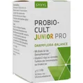 Produktbild: PROBIO-Cult Junior Pro Syxyl Beutel 30 g