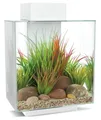 Produktbild: Fluval Edge 2.0 weiß 46 Liter Nanoaquarium mit LED und Filter