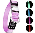Produktbild: Petsation Leuchthalsband für Hunde [Das Original] Leuchtendes LED Hundehalsband spazieren gehen auch im Dunkeln Lange Akkulaufzeit – Sicher Dank hochwertigem Metallverschluss (Pink, M (38-50 cm))