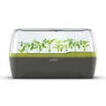 Produktbild: Romberg BoQube L Plus Mini Gewächshaus Anzuchtset & Pflanzkasten mit 10 selbstbewässernden Pflanzzellen und Bewässerungssystem, Zimmergewächshaus für Indoor Kräutergarten, 41×17×23 cm, Ant.-Sommergrün