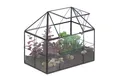 Produktbild: relaxdays Gewächshaus Pflanzenterrarium aus Glas Hausform, 1-St., schwarz