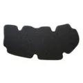 Produktbild: Filter Aire meiwa Peugeot Geopolis 125 PG34105