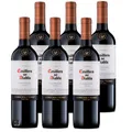 Produktbild: 6 x 75cl Casillero del Diablo Carmenere Concha Y Toro Chile 13,5 % vol