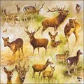 Produktbild: Ambiente 20 Servietten Papier 33x33cm 3-lag. - hochwertige Einweg Papierservietten Hirsche Rehe Wildtiere Waldmotiv Tischdeko Herbst Natur Dekoration Wild Wald