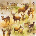Produktbild: 20 Servietten Tiermotive Collage an Hirsche und Rehe als Tischdeko. Papierservietten mit Motiv. Auch für Decoupage und Serviettentechnik 33x33cm