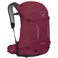 Produktbild: Osprey Hikelite 28 , Rucksack, weinrot