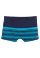 Produktbild: Venice Beach Boxer-Badehose im Streifendesign