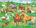 Produktbild: Puzzle - Wunderschöne Pferde (diverse Rassen) | Puzzle | 2022 | Larsen