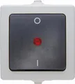 Produktbild: Kopp Nautic Ausschalter, 2-polig, beleuchtet, Aufputz, für Feuchtraum 250V (10A), IP44, 565296007, grau