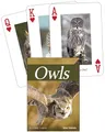 Produktbild: Owls Playing Cards (Nature's Wild Cards)