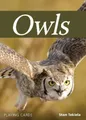 Produktbild: Stan Tekiela Owls Playing Cards (Cards) Nature's Wild Cards