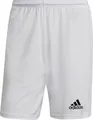 Produktbild: Adidas Squadra 21 Shorts Herren - Weiß | Größe: XS