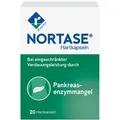 Produktbild: NORTASE - Verdauungsenzyme bei exokriner Pankreasinsuffizienz
