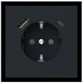 Produktbild: Busch-Jaeger SCHUKO-/USB-A+C Steckdose 20 EUCB2USBAC-45M