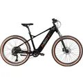 Produktbild: E-Bike AGON 