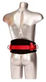 Produktbild: Portwest FP08 Haltegurt Sicherheits-Haltegurt - Haltegurt von Portwest FP08