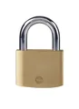 Produktbild: Yale Standardsicherung 60 mm Messing Vorhängeschloss Y110B/60/132/1