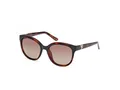 Produktbild: Guess GU7877 52H  havana 53/18/135 Damen Sonnenbrillen