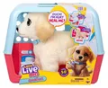 Produktbild: Moose Toys Little Live Pets Ouchies Puppy Cooper, Spielzeug-Hund, 5 Jahr(e), Interaktiv, Mit Ton, AA