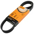 Produktbild: CONTITECH  -  Keilrippenriemen Alfa / Peugeot / Seat / VW