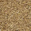 Produktbild: Havens Hafer schwer 20kg