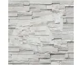 Produktbild: NOVIK Verkleidungspaneel NovikStone DS Platte 105x33cm 10 Stück 2,32qm Schichtstein hellgrau, BxL: 33,34x105,41 cm, 0,375 qm, (Karton mit 10 Platten, 3,52 qm) Wandverkleidung mit 3-D-Effekt, problemlose Montage, Natursteinoptik