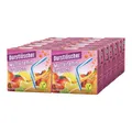 Produktbild: Durstlöscher Multivitamin fruchtiges Fruchtsaftgetränk 500ml 12er Pack