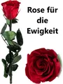 Produktbild: NEU Rose Geschenkbox für Valentinstag Geburtstag Muttertag Liebe Ewig Geschenk
