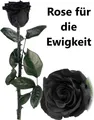 Produktbild: NEU Rose Geschenkbox für Valentinstag Muttertag Geburtstag Liebe Geschenk Ewig