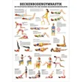 Produktbild: Beckenbodengymnastik Mini-Poster Anatomie 34x24 cm medizinische Lehrmittel, Nicht Laminiert