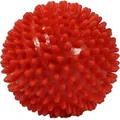 Produktbild: IGELBALL 9 cm rot, 1 St PZN 00211576