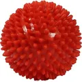 Produktbild: IGELBALL 9 cm rot 1 St