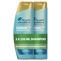 Produktbild: Head & Shoulders DERMAXPRO Beruhigendes Anti-Schuppen Shampoo 2x250 ml Kopfhautpflege bei trockener, juckender Kopfhaut (verbunden mit Schuppen) – Mit Kaktus-Extrakt, aktiver Aloe & Vitamin E