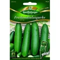 Produktbild: Freilandgurke 'Swing' Quedlinburger Gemüsesamen