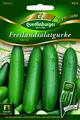 Produktbild: Gurken Freilandsalat- Swing - Cucumis sativus L. QLB Premium Saatgut Gurken