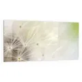 Produktbild: DEQORI Küchenrückwand 'Pusteblume ganz nah', Glas Spritzschutz Badrückwand Herdblende grün 100 cm x 50 cm