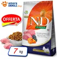 Produktbild: Farmina Dog N&D Pumpkin Adult Mini → Lamm Und Heidelbeere - 7 Kg - Hund, Hunde