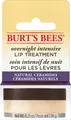 Produktbild: Lippenpflege Intensive Lip Treatment