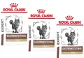 Produktbild: (€ 29,13 /kg) Royal Canin Expert Gastrointestinal Fibre Response Katze 3 x 400 g