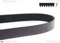 Produktbild: TRISCAN 8640701165 Keilrippenriemen Keilriemen für Nissan