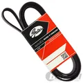 Produktbild: GATES KEILRIPPENRIEMEN 7PK1165 passend für NISSAN MICRA NOTE