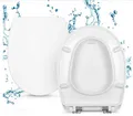 Produktbild: RAMM WC-Sitz passend Geberit Allia Paris ,weiß, SoftClose, für Toilettenschüssel 52 cm